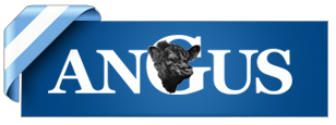 Agromelú - Angus colorado de lizaso